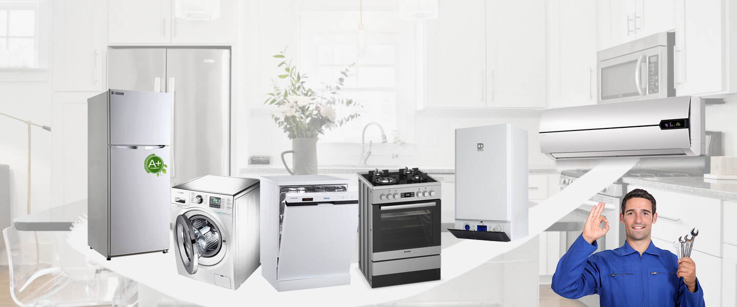 Pamukkale Daikin Servisi